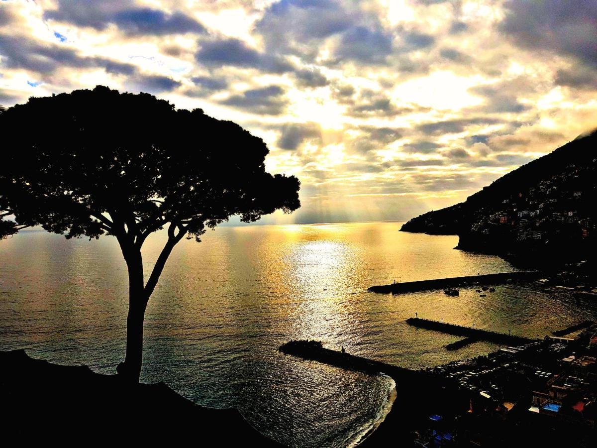 Casa Vacanza "Positano" A Furore Exteriör bild